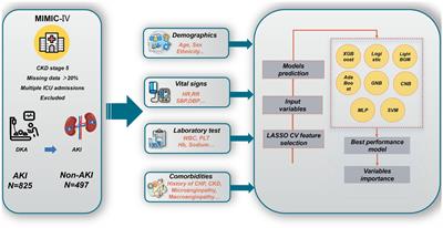 Predicting the risk factors of diabetic ketoacidosis-associated acute kidney injury: A machine learning approach using XGBoost